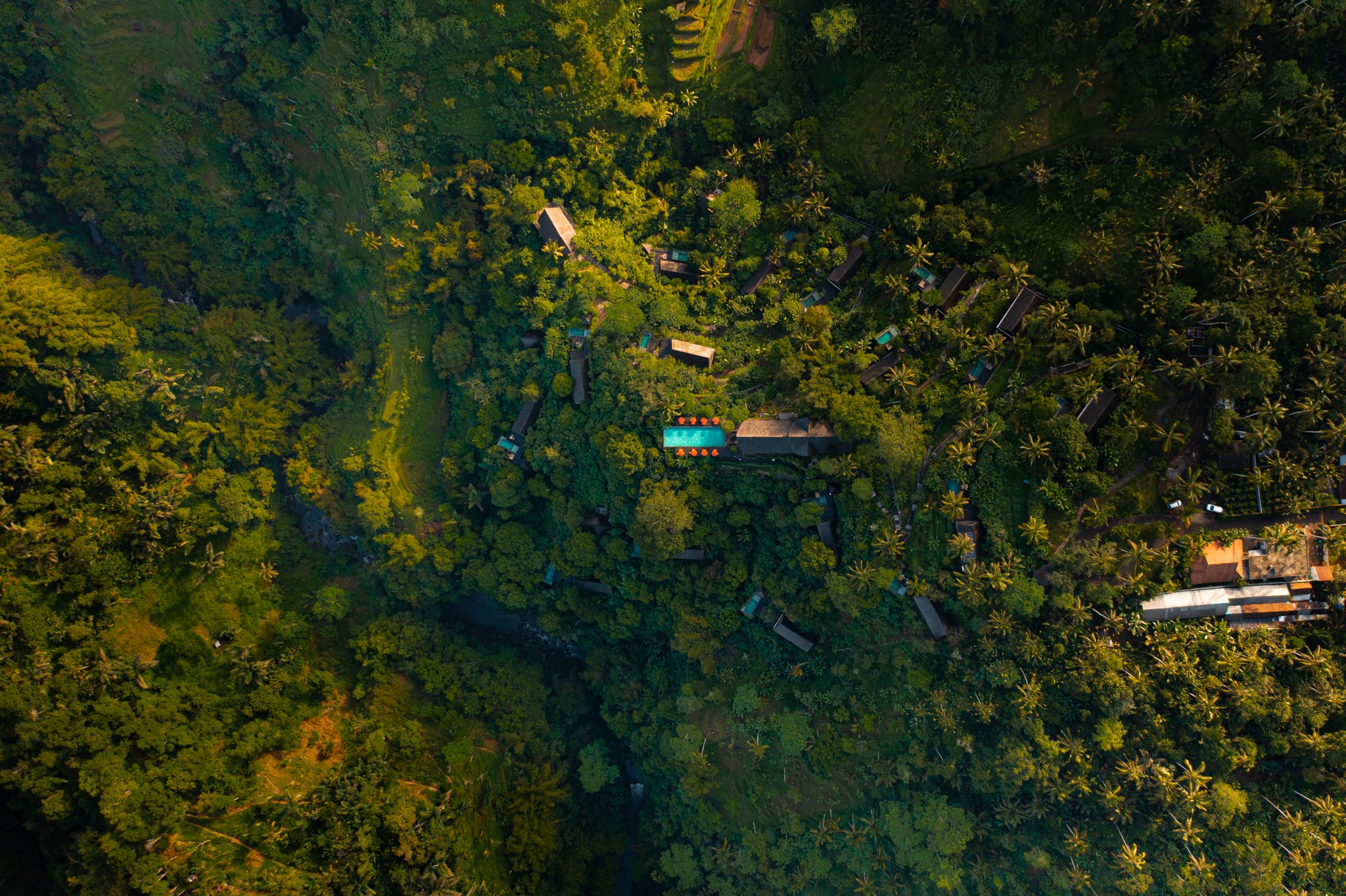 retreating to nature